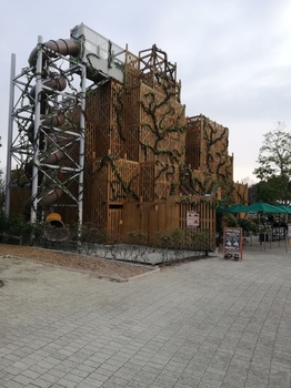 IMG_20190329_170505.jpg
